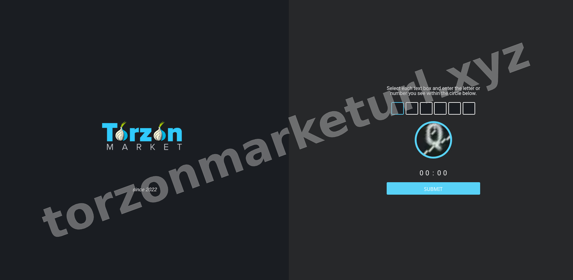 DDoS Protection Screen