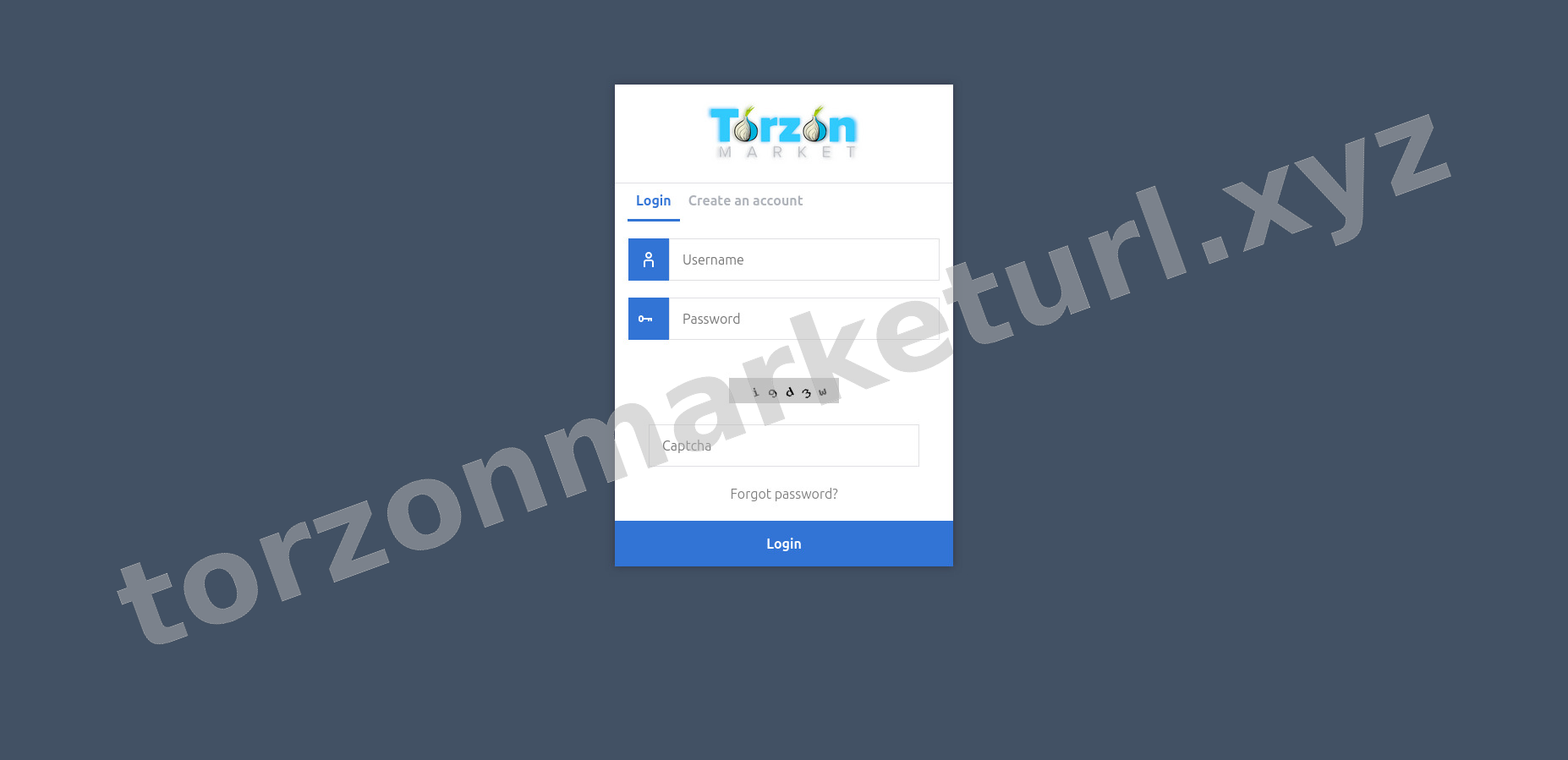 User Login Interface